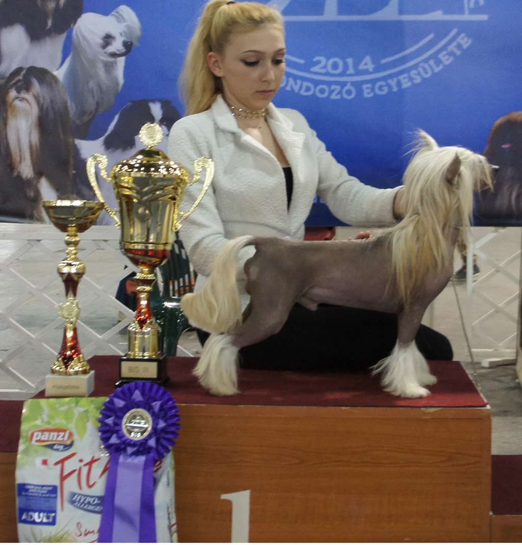 Wilson from Goldhunter Angel's