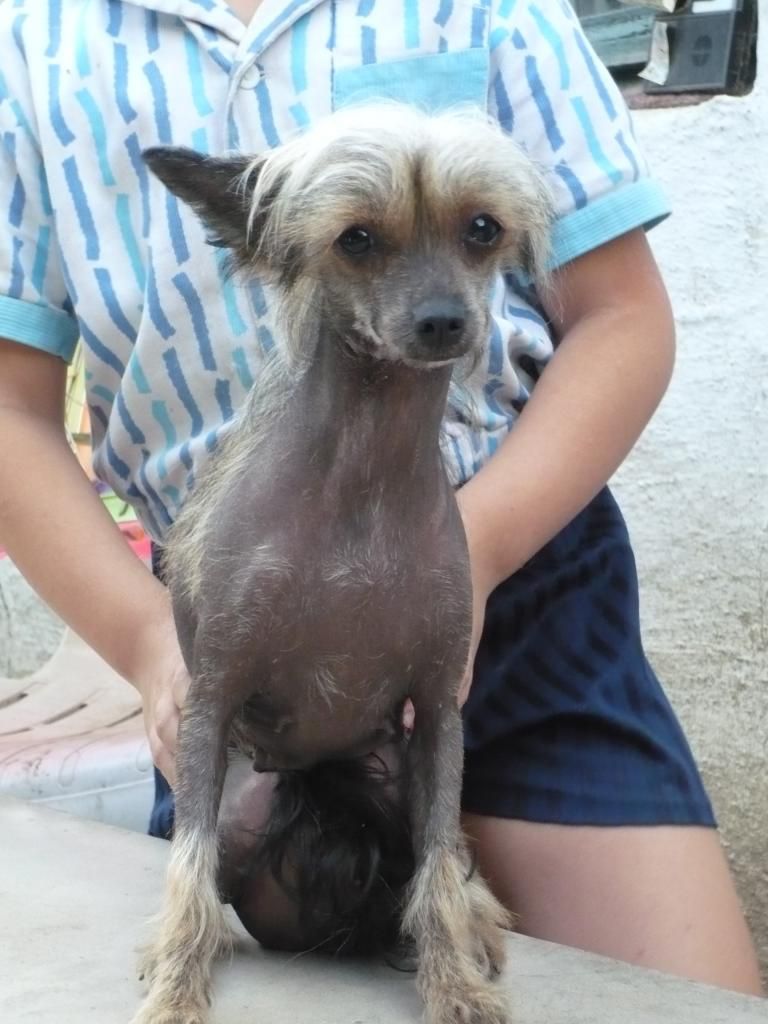 La Votre Belle Eleanor Princess