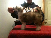 Sonador's People Know Me