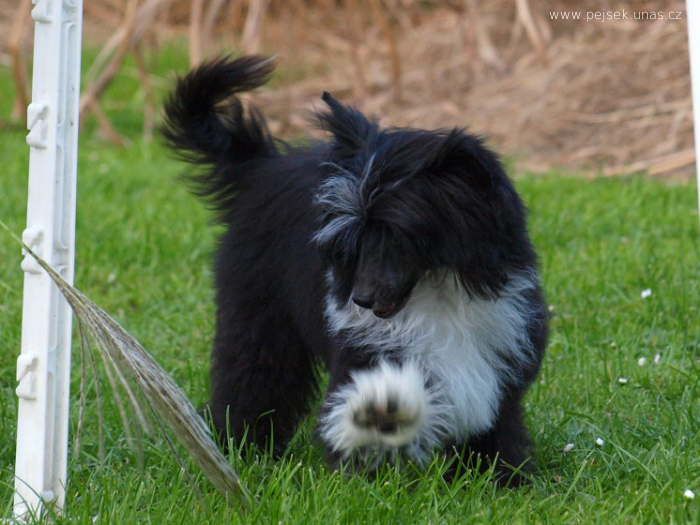 Ulien ze Zatopené chajdy