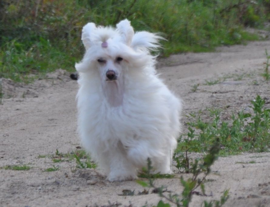 Adeline Bland  Winning Smile