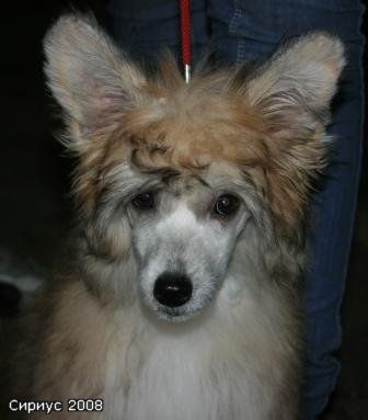 Jgychaj Brynetka from Khakasia