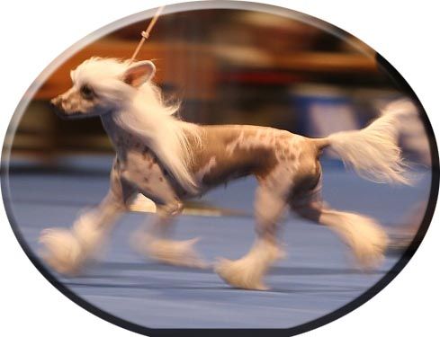 Every Little Thing N'Co.