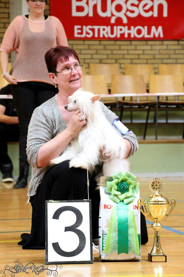 Dainty Moonbeam of Candymoor Castle