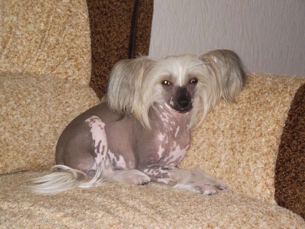 Sicilia For Night Eclipse Minodora