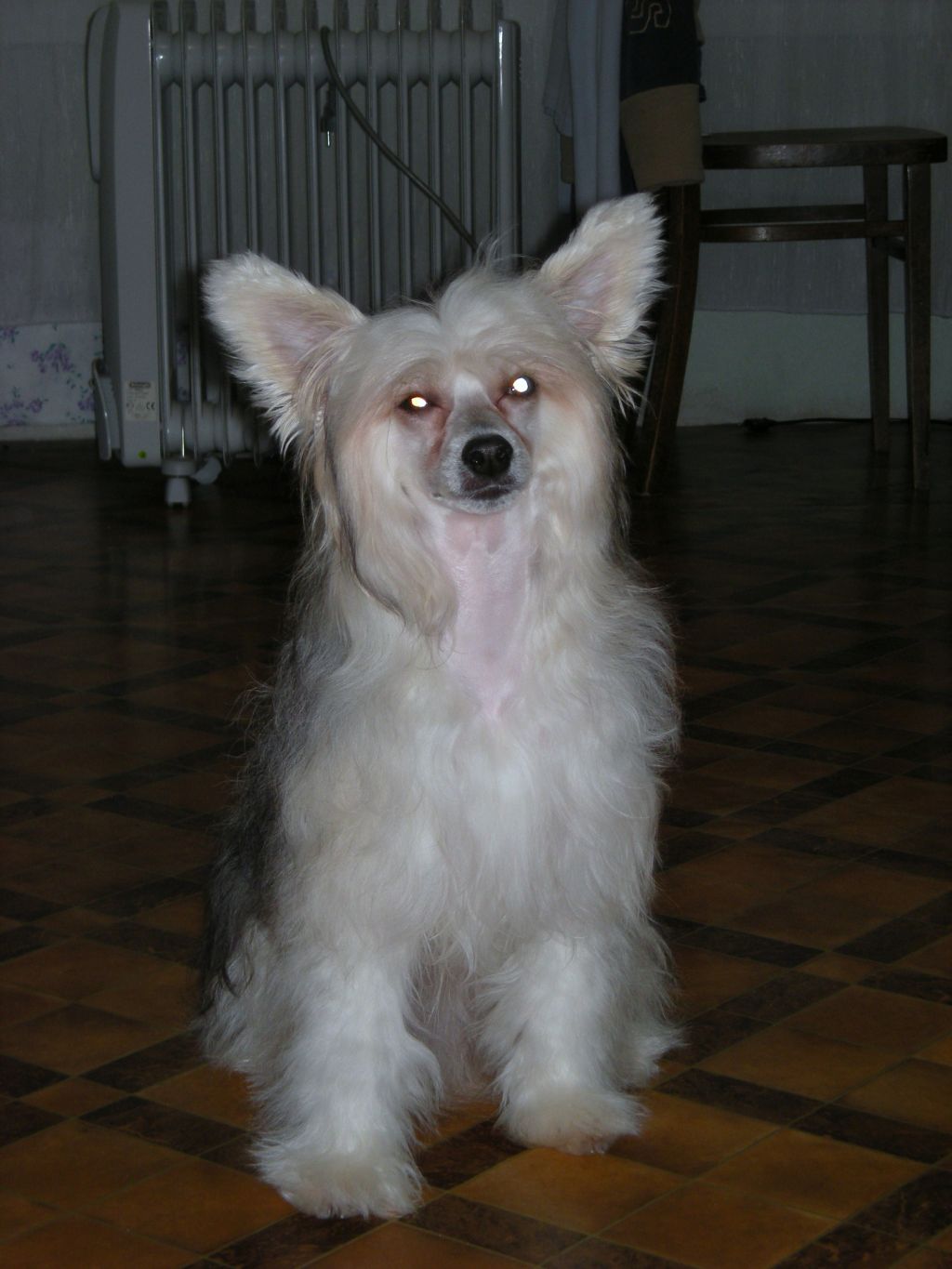 True Magnifisen Sherridan