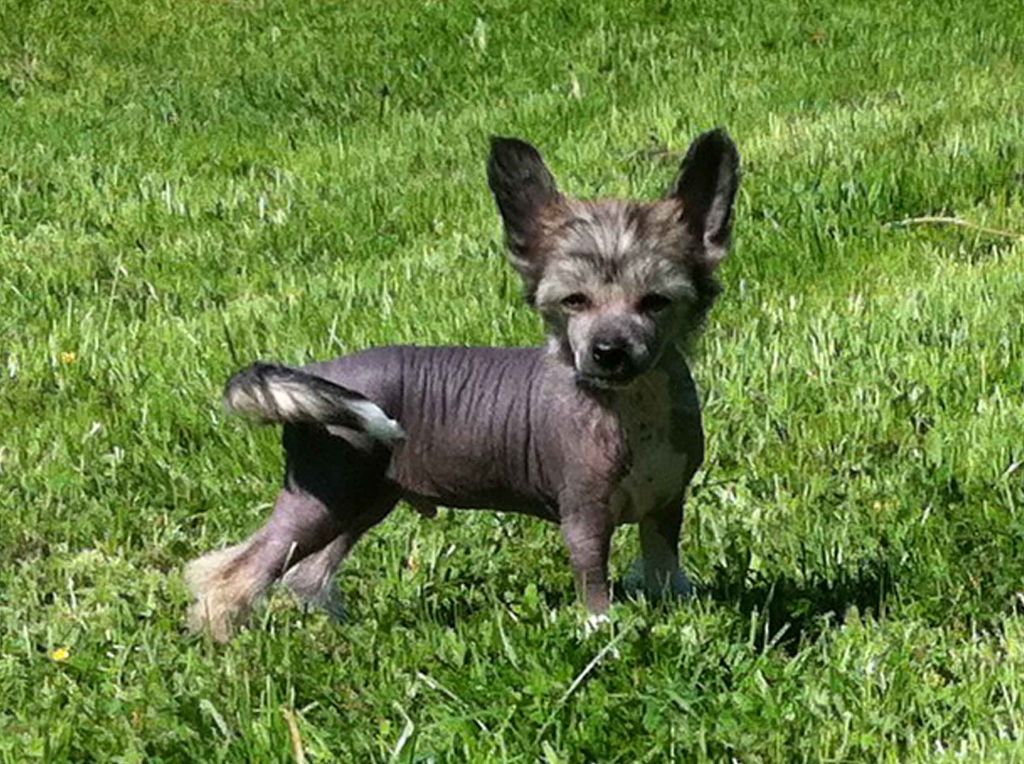 Myrtans Wait A Second 