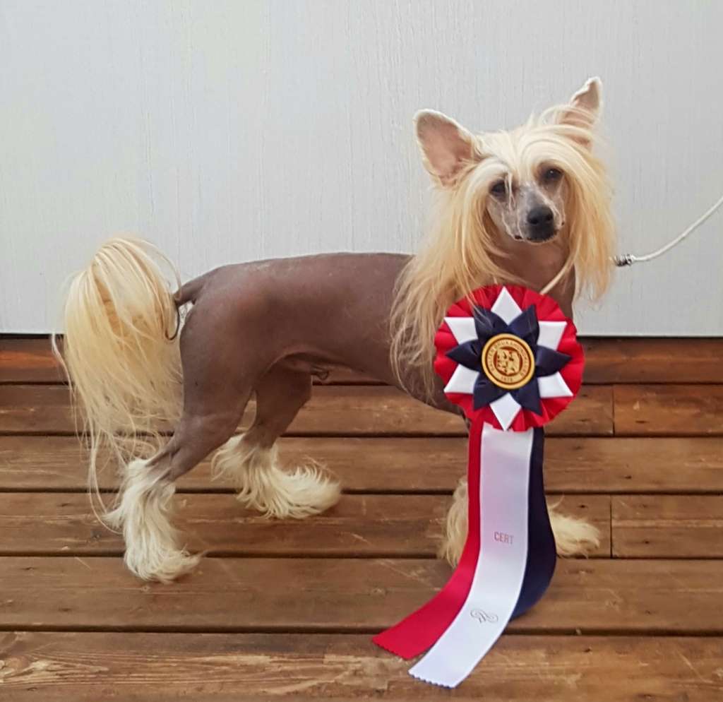 Vivilinn's You Belong To Me