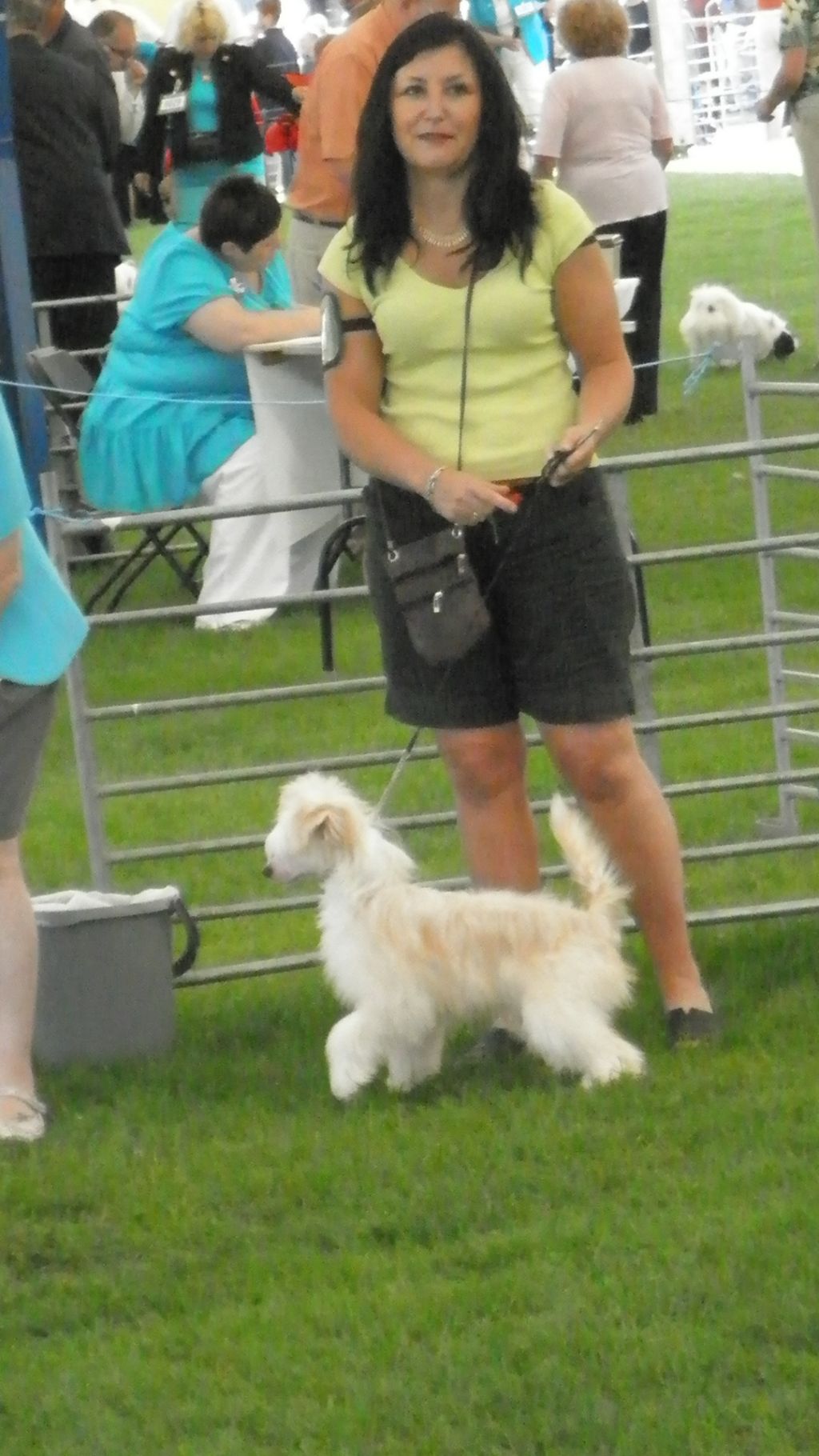 Doucai The Hellraiser