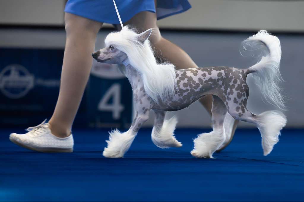 AkDeniz Once And Forever