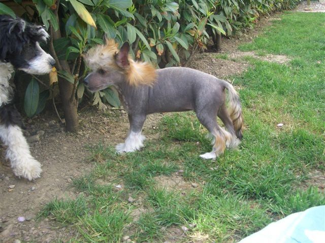 Million Dollar Baby Fantasy Island