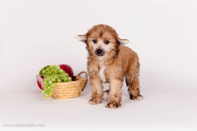 Ksolo Club Alehandro