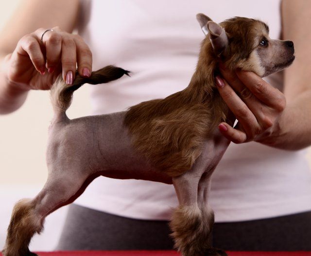 Olegro Katrin Cocktail Of Passion