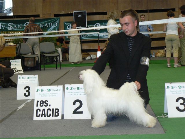 Hossa-Vija Micke Prince Suprise