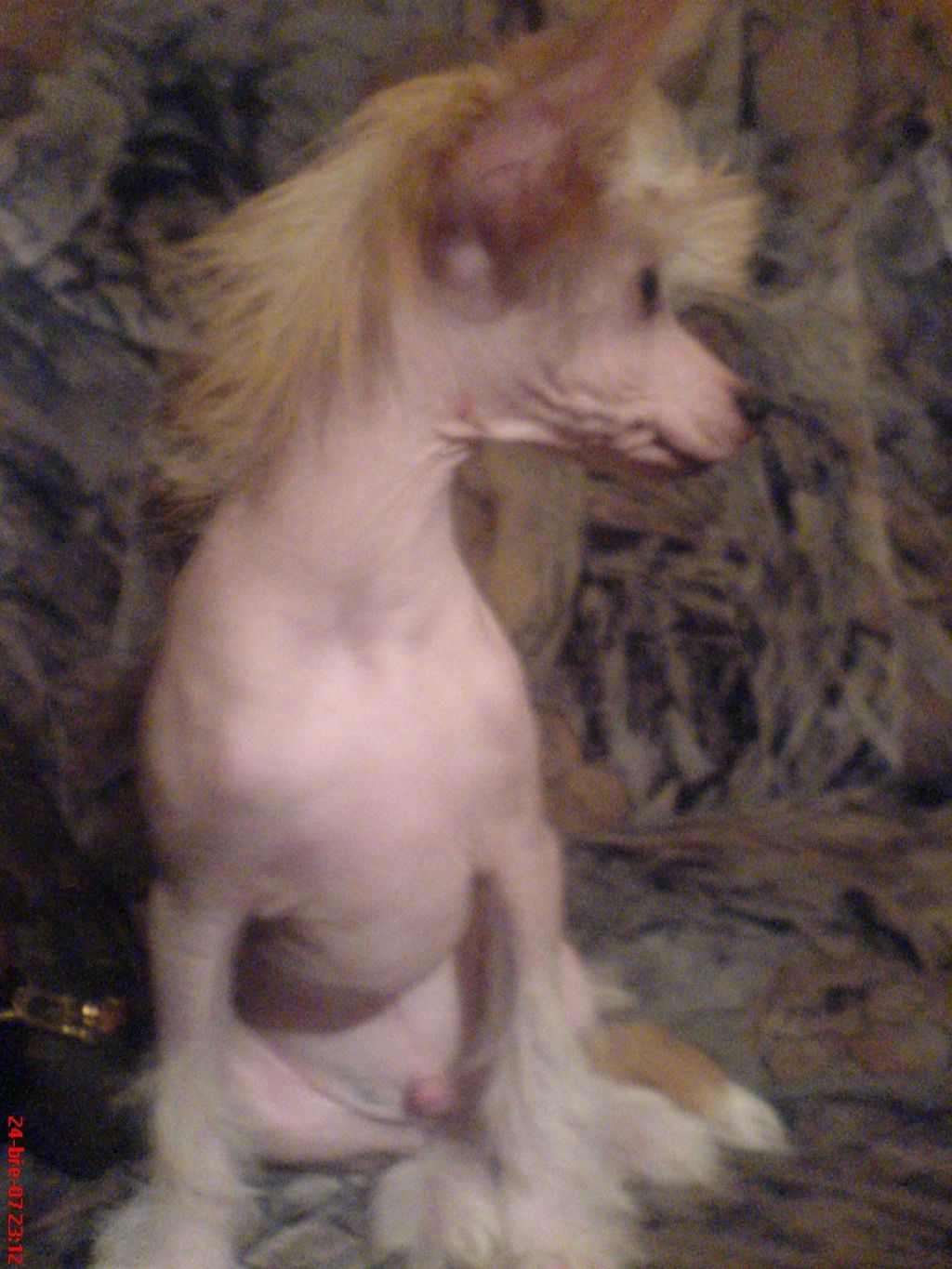 Favorite Picture