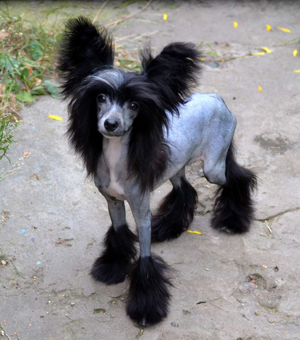 Magic of Success Nicolette