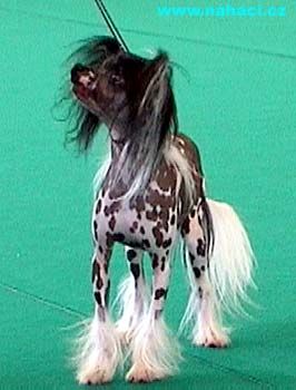 Lou Gin from House Off Angie