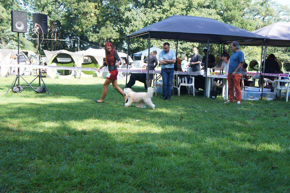 Licky Lips Beautiful Friendship