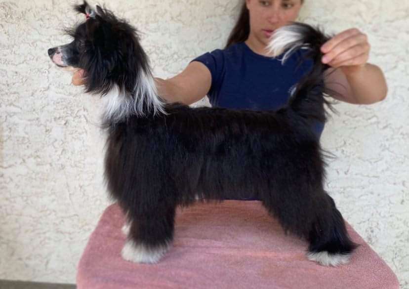 Taja Sorry Not Sorry