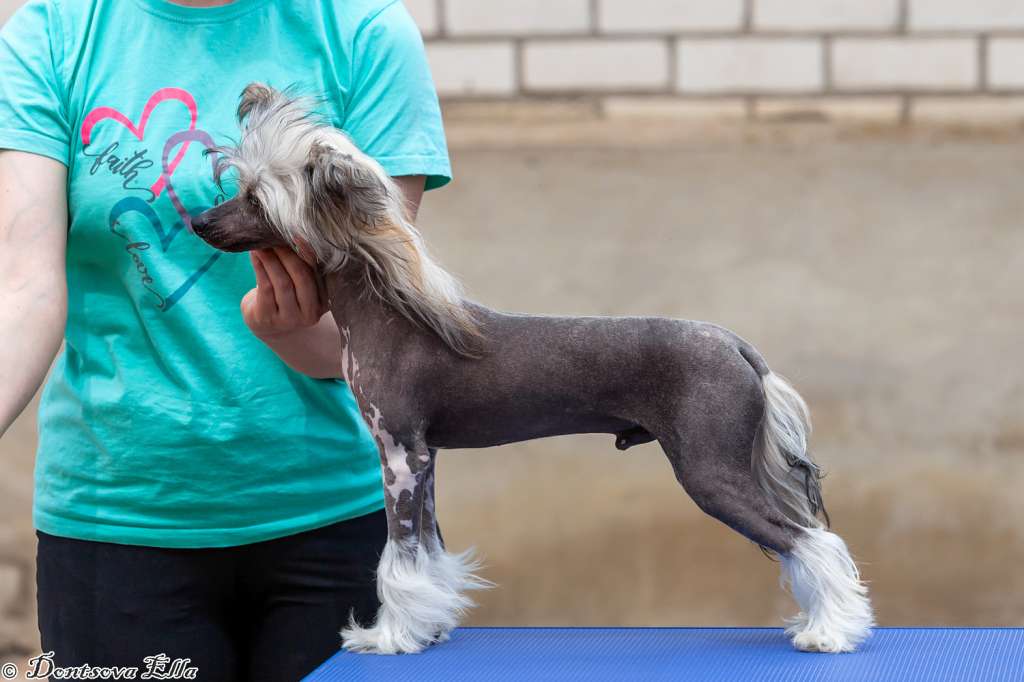 Next iz Sozvezdiya Khana