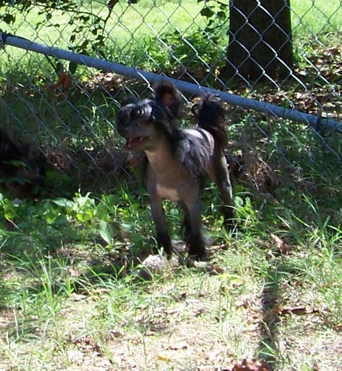 Spiritual Avenging Angel