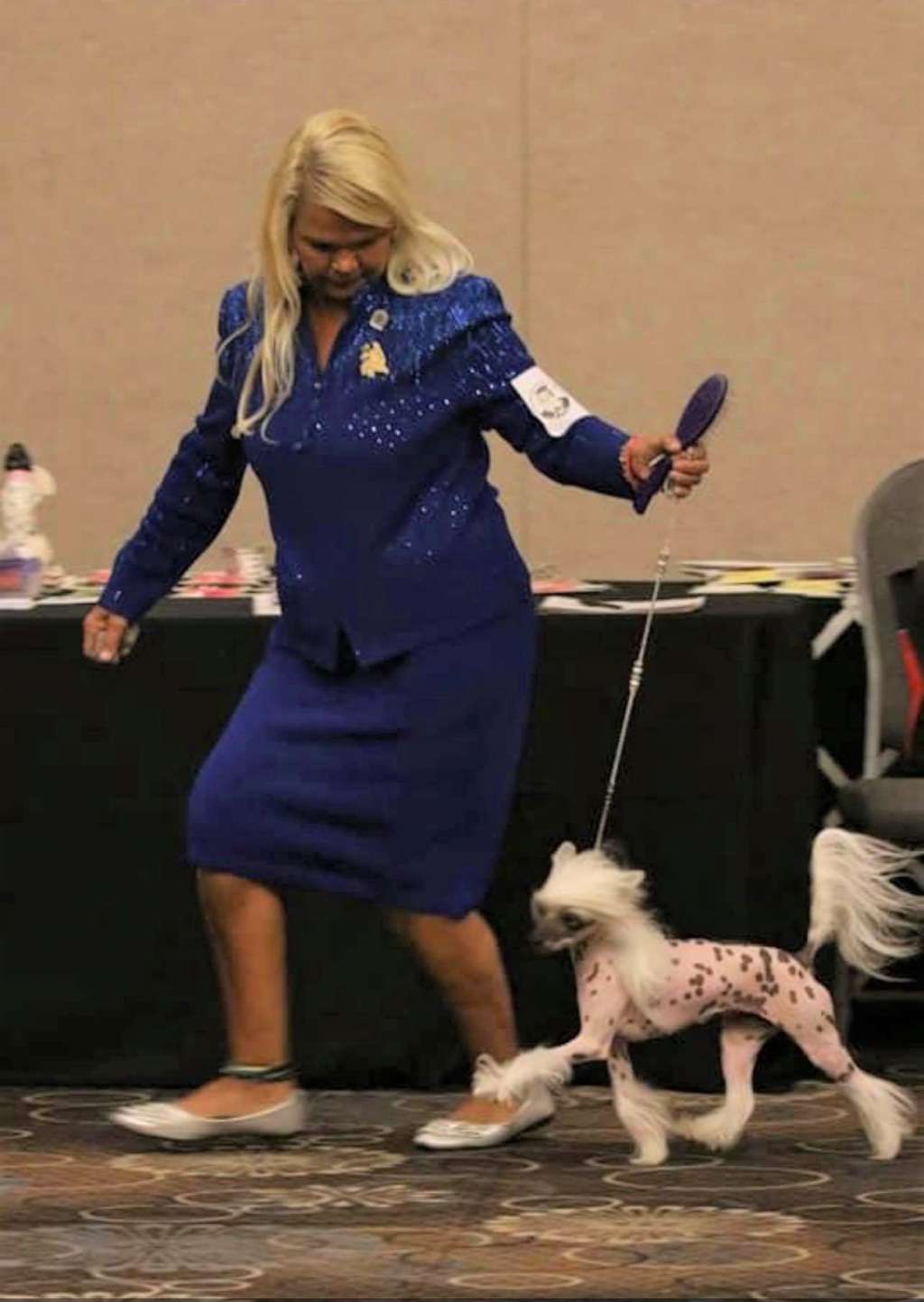 Zhen's Roll The Dice