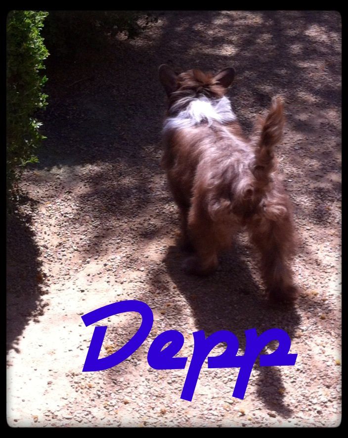 Nina's K Depp And The Chocolate Factory