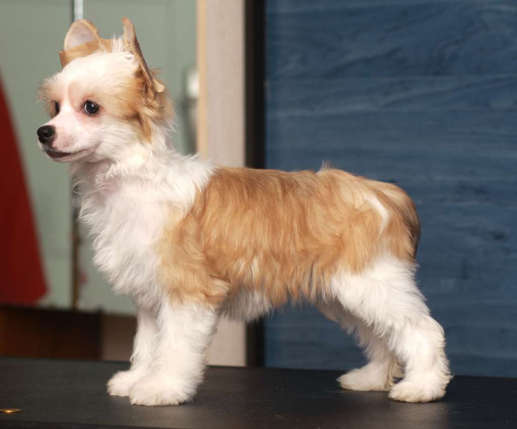 Denville Ozi Queen Almandzora