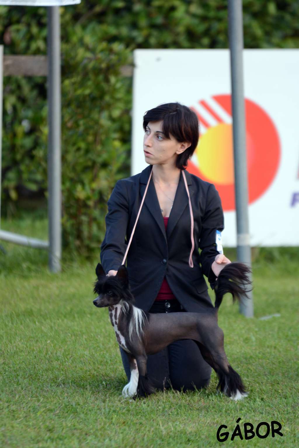 Multi Int. Ch. Dakota Rose Black Surprise