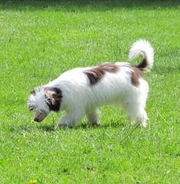 Sonniema Im Your Candyman