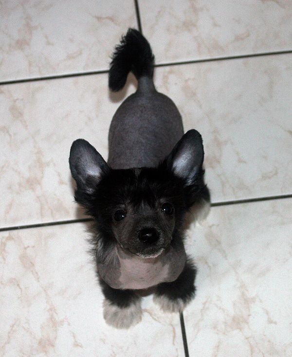 Edcullen's Glade Date Me at Dreamofmine