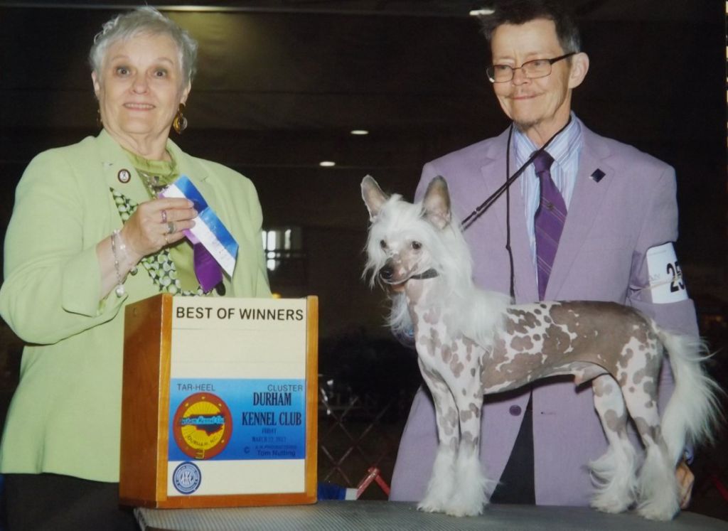 Kalypso's I'm Blending I'm Blending