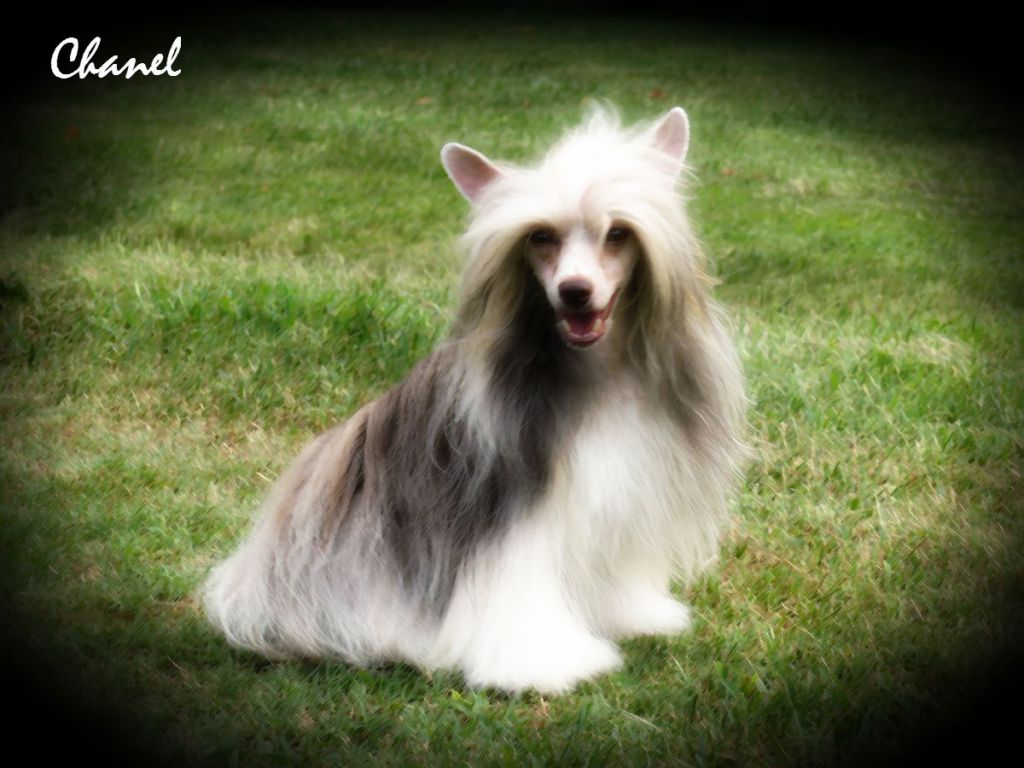 LyricTown Take A Chance On Me @ Couture