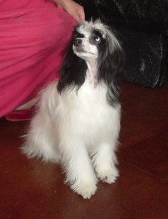 Genny z Alsova nabrezi