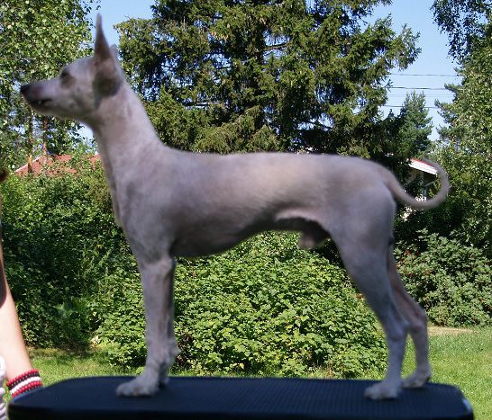 Amtietam's Eleventh Hour