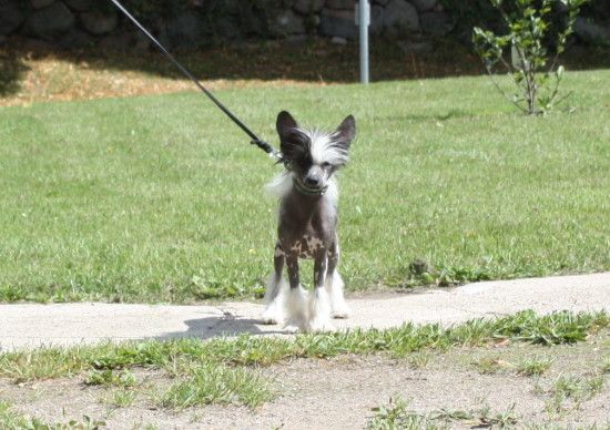 Giselle from Angels Fundation