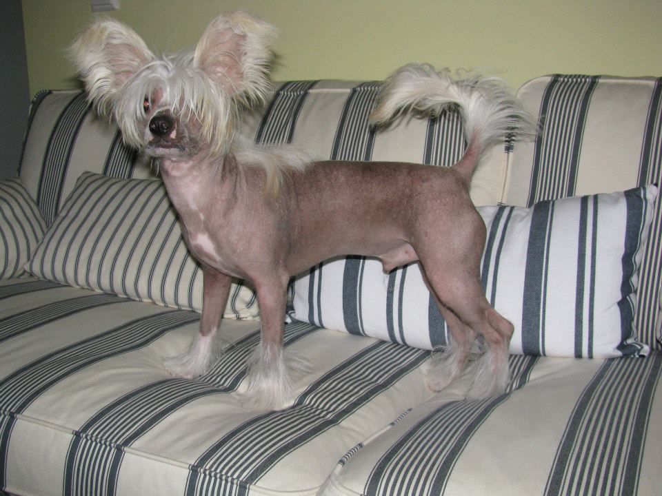 Lady Buck's Ability To Love