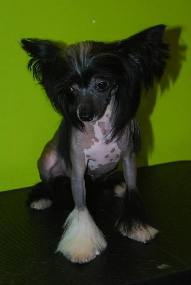 Practical Hero Just A Virgin