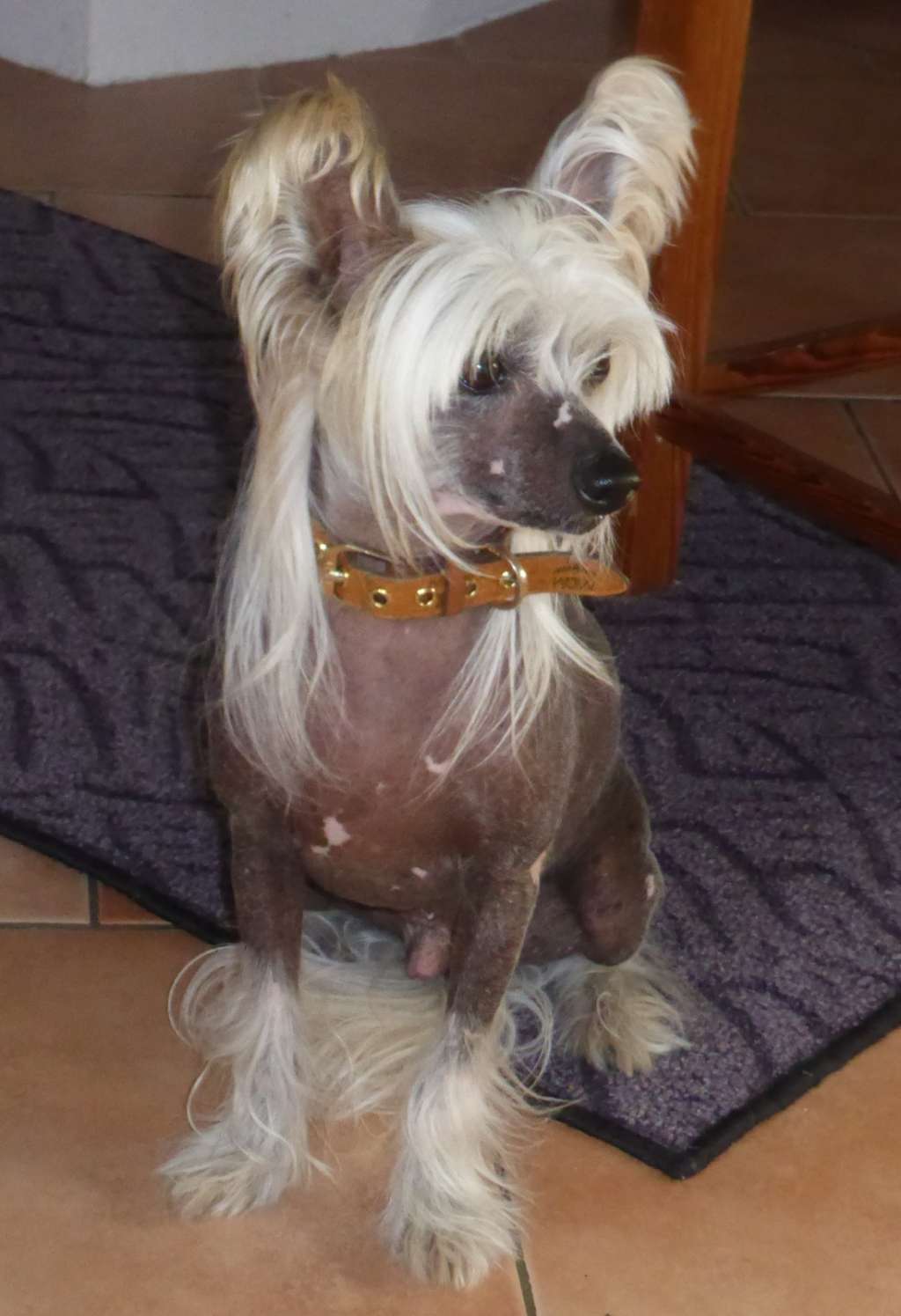 Bing Li von Dolce Diamante