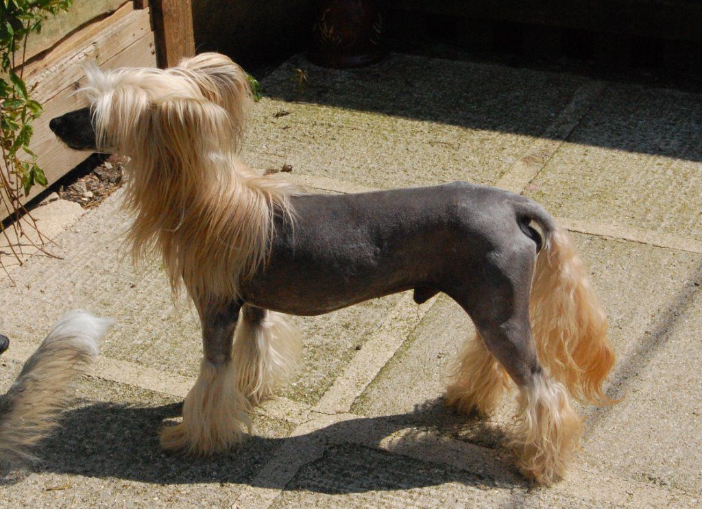 Twice as Nice Made You Smile