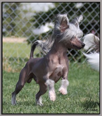 Azzana Is It Cold In Here