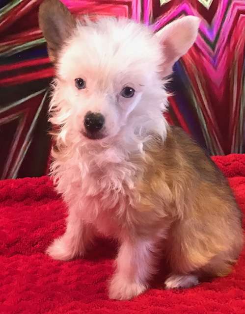 Spiritgaeas Speaks to Marduk Will-lol