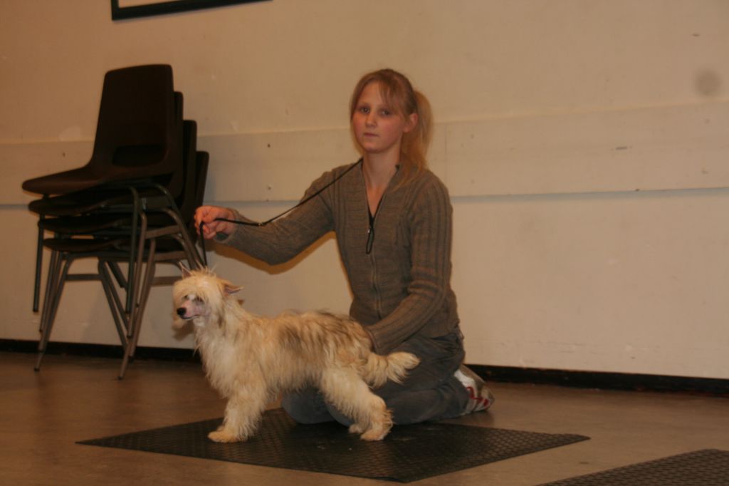 Glamor Devil Diamond Place