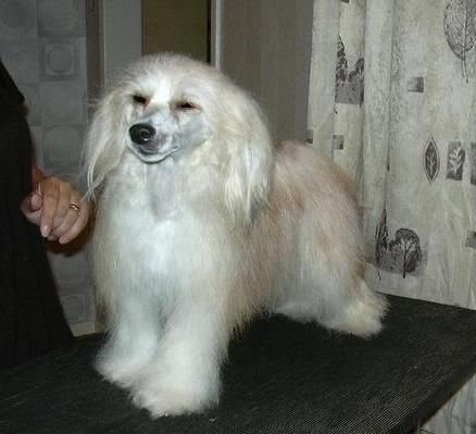 Ermyone Little Champs