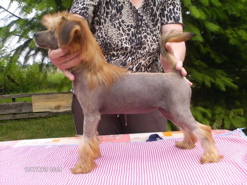 Zurawinka Z Gangu Lysych