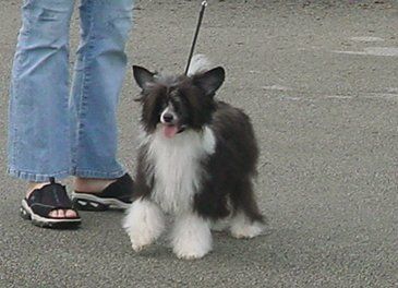 In Cahoots With N'Co