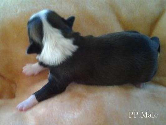 Benito Modrá Laguna Moravia