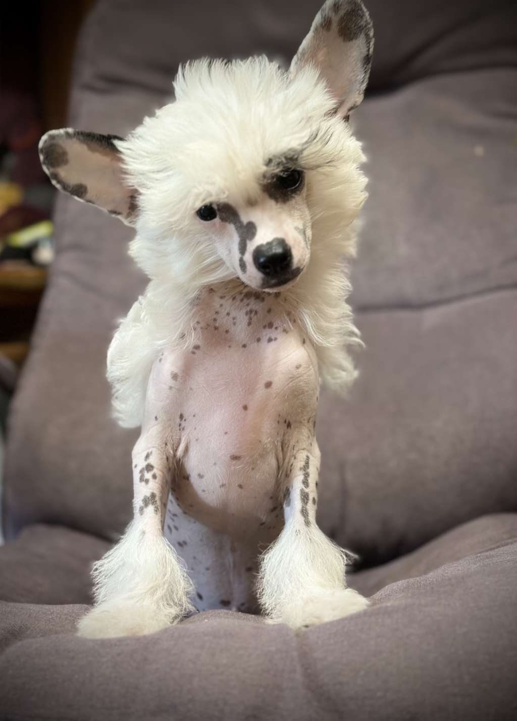 Charly Ximon Miracolo Dell'anima