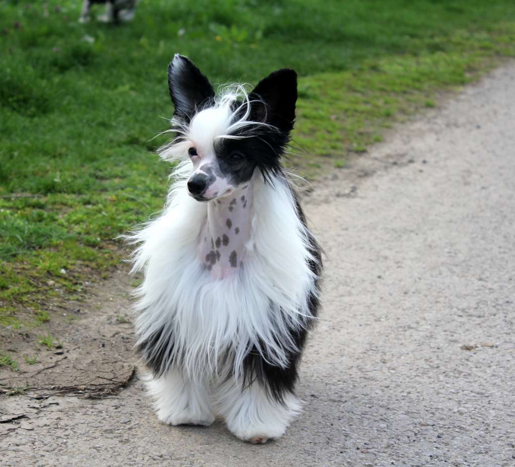 Solino's Dance with me @ night