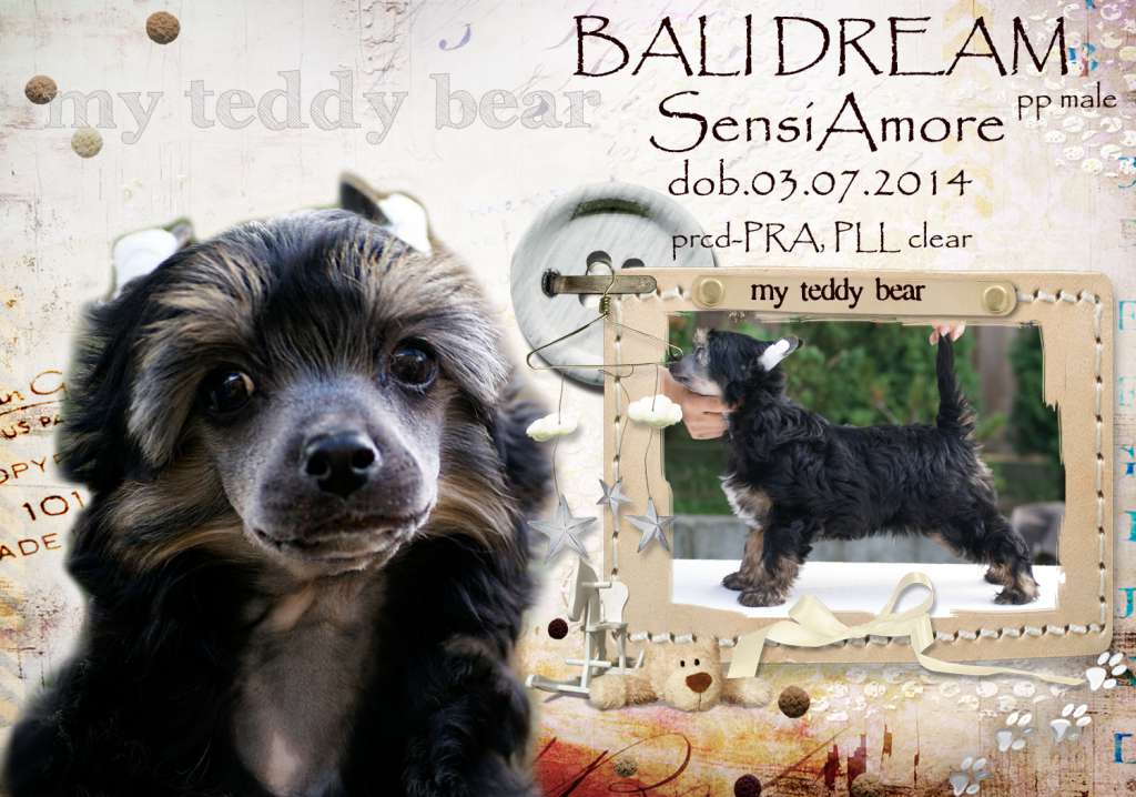 Bali Dream Sensiamore